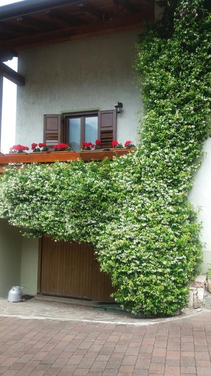 La Casa Del Gelsomino Lägenhet Ospedaletto  Exteriör bild